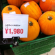 Illustration for article titled Is US$23 A Lot For A Pumpkin?